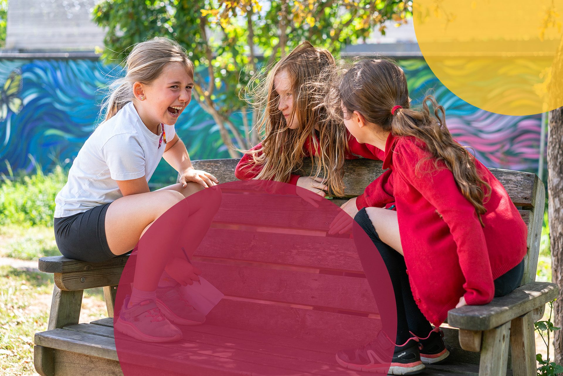 Relationships and Behaviour